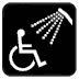 Level access shower
